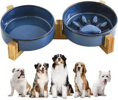 Anti-schrokbak Honden - Voerstation Huisdier - Comfortabel Eten - Keramiek Antislip - 36x20x9 cm - Blauw