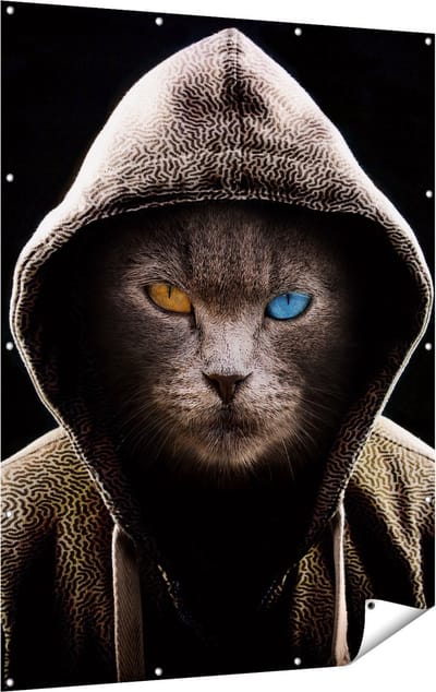 Gards Tuinposter Boze Kat Draagt een Hoodie - 120x160 cm - Tuindoek - Tuindecoratie - Wanddecoratie buiten - Tuinschilderij
