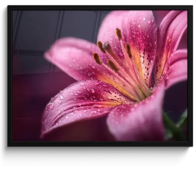 Poster in lijst - Fotolijst 70x50 cm - Posters - Roze - lelie - Dauwdruppels - Posterlijst zwart - Decoratie - Wanddecoratie woonkamer - Muurdecoratie slaapkamer