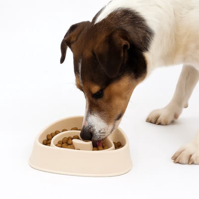 Nobleza Anti Schrokbak Hond - Slowfeeder - Hondenvoerbak - Anti-Slip - 500 ml - Beige