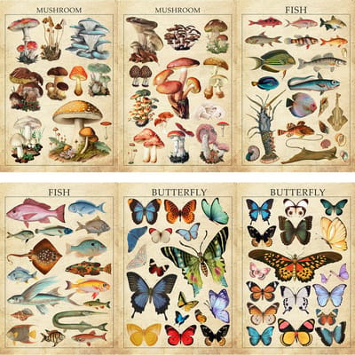 Vintage Flora & Fauna stickers - 8 stickervellen 11x16CM - Stickertjes met Bloemen, Planten, Paddestoelen, Vissen en Vlinders - Journalstickers/Dagboek/Agenda/Cadeautjes stickers