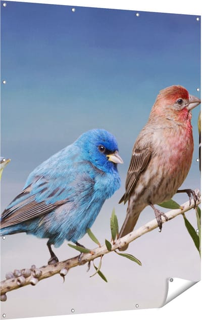 Gards Tuinposter Kleurrijke Zangvogels op een Tak - Kleur - 120x160 cm - Tuindoek - Tuindecoratie - Wanddecoratie buiten - Tuinschilderij