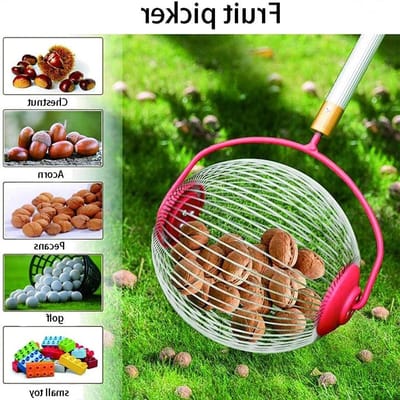Stainless Steel Oogsthulpmiddel voor Noten en Fruit, Telmachine voor Walnoten en Kastanjes met Inklapbare Handgreep