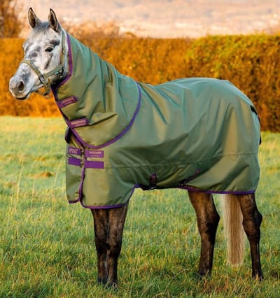 Horseware Amigo Hero Ripstop Plus Turnout 200g Medium 115 Bramble/Winterberry