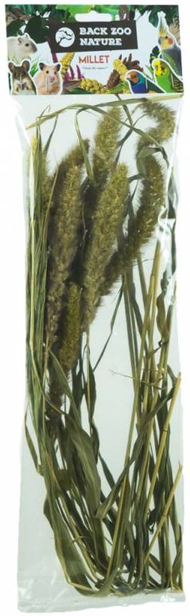 Back Zoo Nature Millet Setaria - Natuurlijke Vogelvoeding - 30g, Alternatief voor Trosgierst