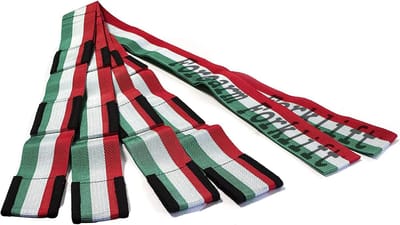 Hulp Banden - Tillen en Dragen - Meubels Verplaatsen - Tot 363kg Draagkracht - 284cm Lengte - Viva Mexico