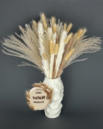 Nina-Maria's Deko Gold droogbloemen boeket - Prachtige bloemen voor thuis droge bloemen