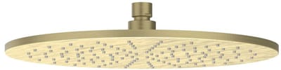 IVY Toebehoren Hoofddouche medium 30cm met antikalk nozzels RVS316 geborsteld mat goud PVD