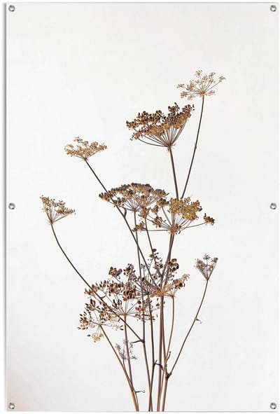 Tuinposter Berenklauw - 120 x 80 - Canvas - REINDERS