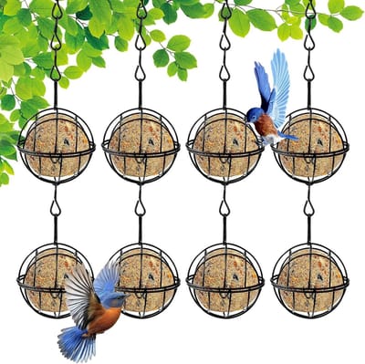 Set van 8 metalen voederstations voor vogels, met flipdeksel en titballenhouder, ideaal voor tuin en balkon