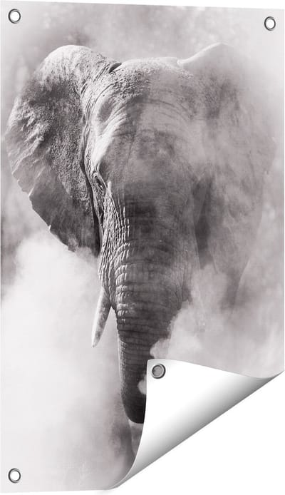 Gards Tuinposter Olifantenkop - Olifant - Zwart Wit - 40x60 cm - Tuindoek - Tuindecoratie - Wanddecoratie buiten - Tuinschilderij