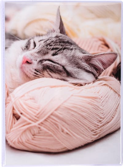 Exacompta 12x Fantasie Fotoalbum met insteekhoezen - 24 foto 10x15cm - Formaat 12x16cm - Geass. Designs - 65001E