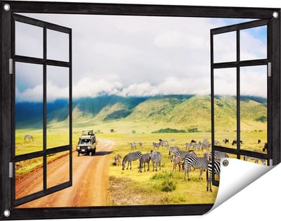 Gards Tuinposter Doorkijk Safari Auto tussen de Zebra's - 90x60 cm - Tuindoek - Tuindecoratie - Wanddecoratie buiten - Tuinschilderij