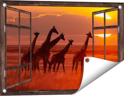 Gards Tuinposter Doorkijk Giraffe Kudde bij Zonsondergang - 60x40 cm - Tuindoek - Tuindecoratie - Wanddecoratie buiten - Tuinschilderij