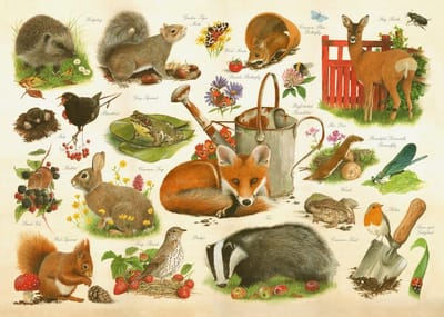 House of Puzzles Are You In My Garden - 1000 Piece Jigsaw Puzzle.