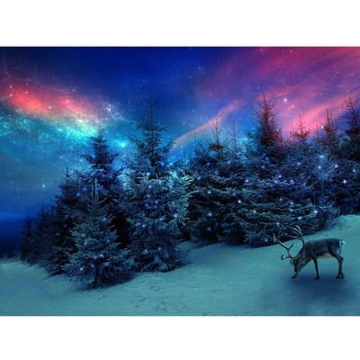 Diamant broderie paysage arbre de noël wapiti strass peinture pleine ronde diamant peinture 20X30CM blue