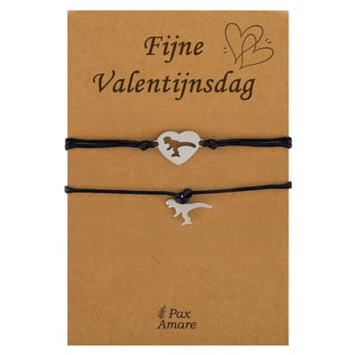Koppel Armbandjes voor 2 "Fijne Valentijnsdag" - Dinosaurus - Vriendschapsarmbandjes met Persoonlijk Cadeau Kaartje - Zilverkleurig & Zwart - Elastisch Verstelbaar - Pax Amare