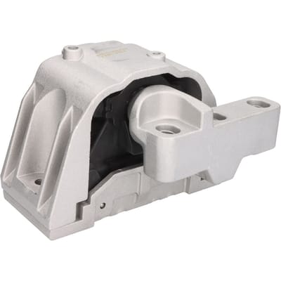 Motorsteun REINHOCH RH11-0166
