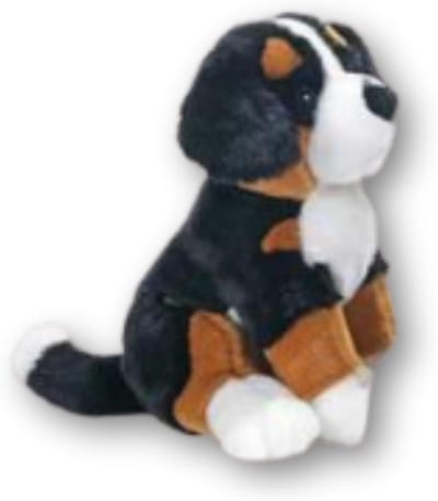 Grote Knuffelhond Berner Sennenhond Pluche Dier 29 cm Zacht Speelgoed