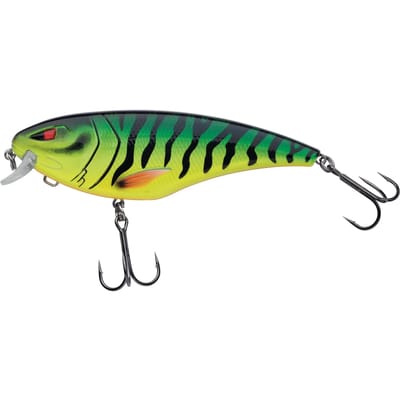 Lok Berkley Zilla Flanker
