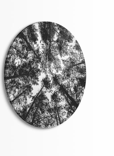 Indoorart - Muurcirkel Opening in het bos Plexiglas 30 cm - Wanddecoratie - Afbeelding op Plexiglas - Inclusief ophangplaat