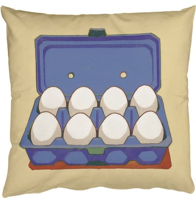 Sierkussens - Kussentjes Woonkamer - 50x50 cm - Eieren - Doos - Minimalistisch - Blauw