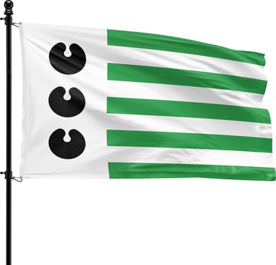 VlagDirect - Bloemendaal vlag - Gemeente Bloemendaal vlag - 90 x 150 cm.