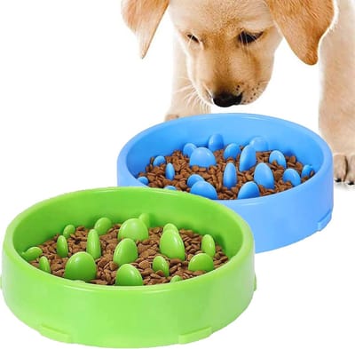 Anti-scratch Slow Feeder Dog Bowl Set, Non-slip Base for Healthy Eating