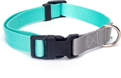 Nobleza Hondenhalsband Maat S - Verstelbaar 20-30 cm - Klikhalsband voor Puppy & Kleine Hond - Fluorescerend - Mint/Grijs