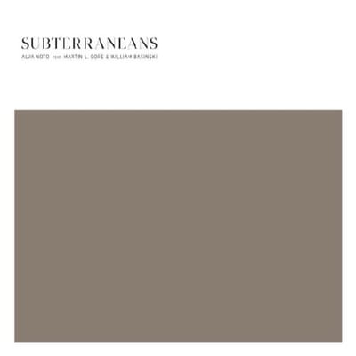 Alva Noto feat. Martin L. Gore & William Basinski - Subterraneans