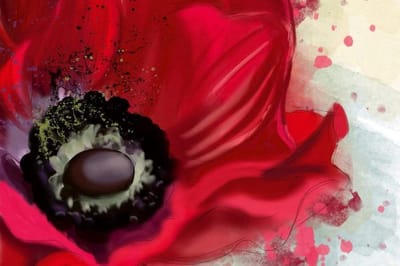 Fotobehang - Poppy 375x250cm - Vliesbehang