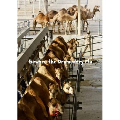 Beware The Dromedary Flu - Peter Holst MD PhD