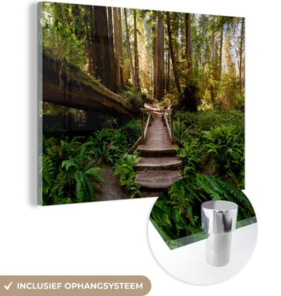 MuchoWow® Glasschilderij 160x120 cm - Schilderij acrylglas - Jungle - Natuur - Trap - Bomen - Foto op glas - Muurdecoratie woonkamer - Wanddecoratie slaapkamer - Schilderijen