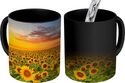 Magische Mok - Foto op Warmte Mokken - Koffiemok - Bloemen - Zonnebloem - Zonsondergang - Nacht - Oranje - Magic Mok - Beker - 350 ML - Theemok