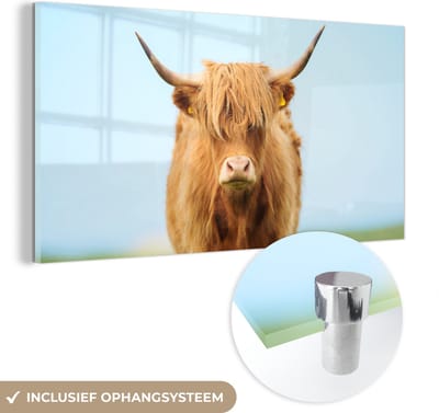 MuchoWow® Glasschilderij 40x20 cm - Schilderij acrylglas - Schotse hooglander - Haar - Gras - Foto op glas - Schilderijen