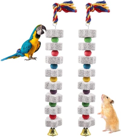 Grote Vogel Knaagspeeltjes Set van 2, Beak Whetstone voor Papegaaien, Tandverzorging, Geschikt voor Parkieten en Cockatiels