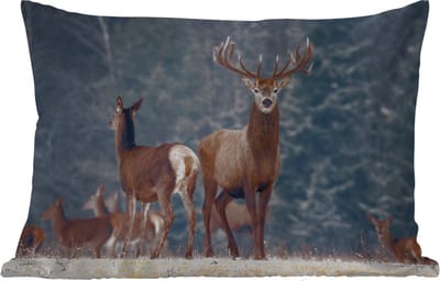 Buitenkussens - Tuin - Bosdieren - Hert - Landschap - Winter - Sneeuw - Natuur - 50x30 cm