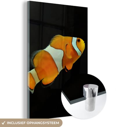 MuchoWow® Glasschilderij 120x180 cm - Schilderij acrylglas - Vis - Lijn - Zwart - Foto op glas - Schilderijen