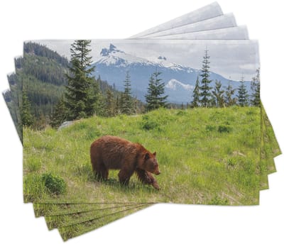 ABAKUHAUS Bear placemats, Tiscjdeco gemaakt van kleurbestendige stof voor de eetkamer en keuken, groenbruin