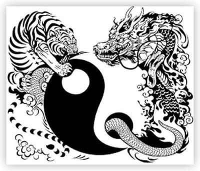 Temporary Tattoo Japanse Draak Tijger Azië Yin en Yang (A5 formaat) [Neptattoo - Tijdelijke tatoeage - Nep Fake Tattoos - Water Overdraagbare Sticker Henna - Glitter Tattoo Set - Plak Tattoos - Nep Tatoeage - Festival Tattoes]