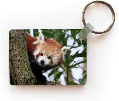 Sleutelhanger - Rode Panda - Bladeren - Boom - Uitdeelcadeautjes - Plastic
