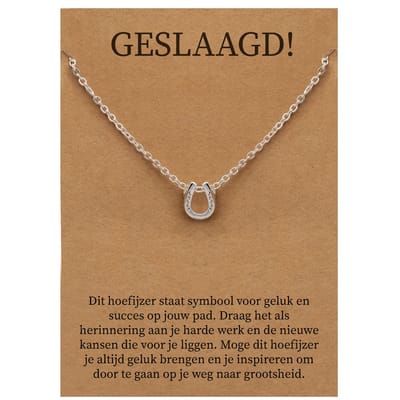 Geslaagd Cadeau Ketting - Hoefijzer voor Geluk Sieraad - Zilverkleurig - Gefeliciteerd - Pax Amare