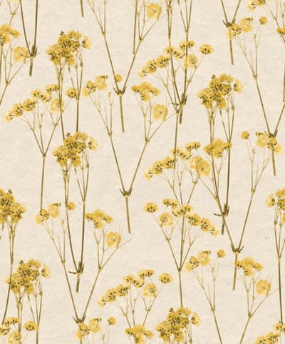 Decoprint Herbarium Behang met katoentakken - HE27242   5415058080570   Behang