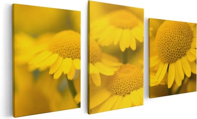 Artaza Canvas Schilderij Drieluik Gele Kamille Bloemen - 120x60 - Foto Op Canvas - Canvas Print