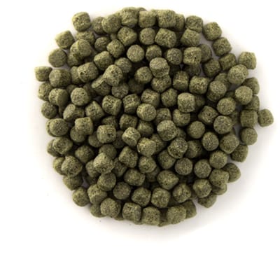 Oswalt Staple 6mm - 2.5KG - Vissenvoer