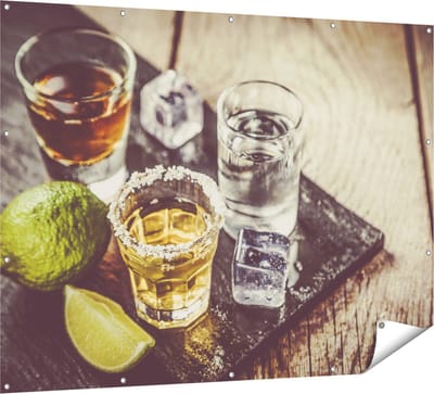 Gards Tuinposter Alcoholische Drankjes - Drank - 160x120 cm - Tuindoek - Tuindecoratie - Wanddecoratie buiten - Tuinschilderij
