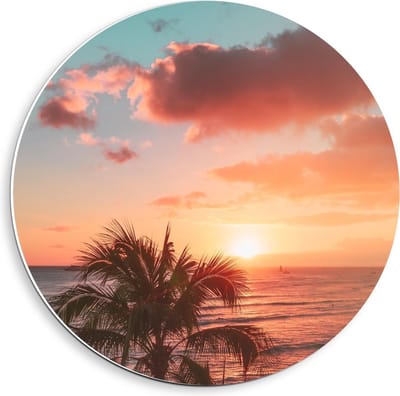 KuijsFotoprint - Schilderij - Palmboom Bij Zonsondergang - Groen, Blauw En Roze - 40 X 40 Cm