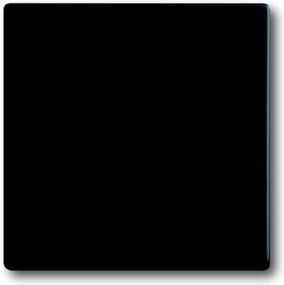 ABB Busch-Jaeger toekomstig Bedieningselement/Centrale Plaat Schakelmateriaal - 2CKA001751A3041 - E2QA4
