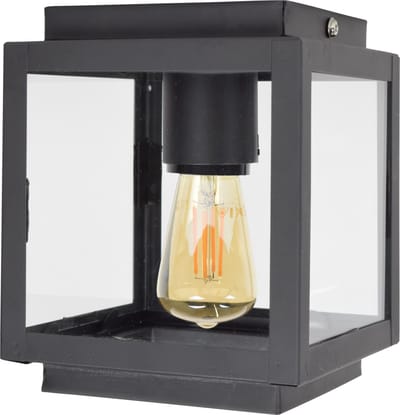 Urban Interiors Loft Plafondlamp Zwart  - Helder glas - 14x14x18