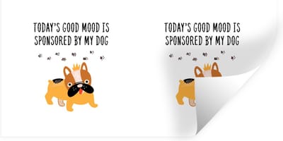 Muurstickers - Sticker Folie - Quotes - Spreuken - Today's good mood is sponsored by my dog - Honden - 40x20 cm - Plakfolie - Muurstickers Kinderkamer - Zelfklevend Behang - Zelfklevend behangpapier - Stickerfolie